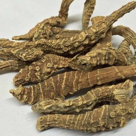 Daronj-Doronicum Pardalianches-درونج عقربی