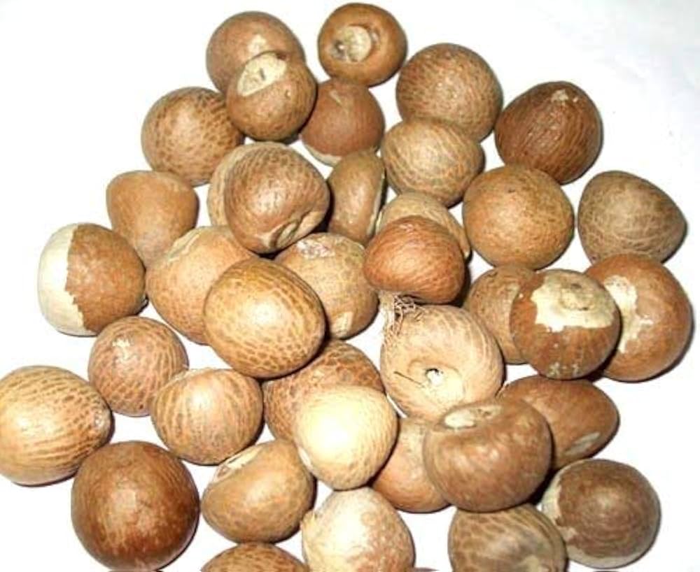 Supari Kathi-Betel nut(Areca nut)-سپاری کاٹھی