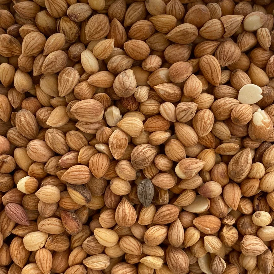 Mahlab seeds-Mahalab