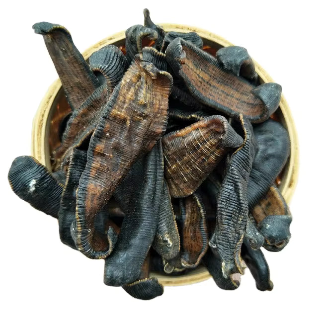 Jonk-Dried Leeches-جونک