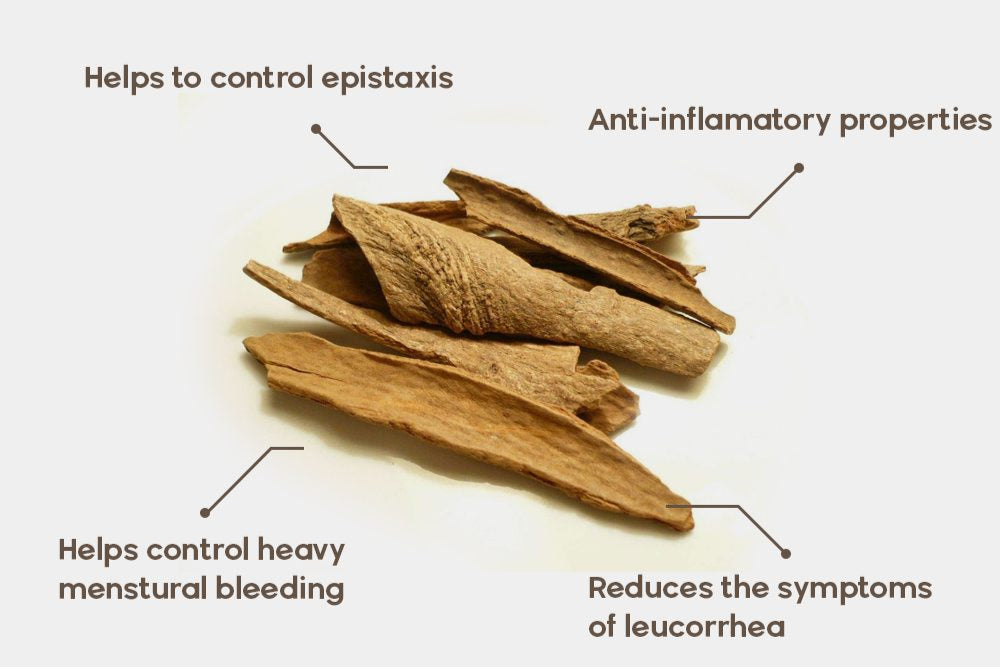 Lodh Tree Bark (Lodh Pathani)-لودھ پٹھانی