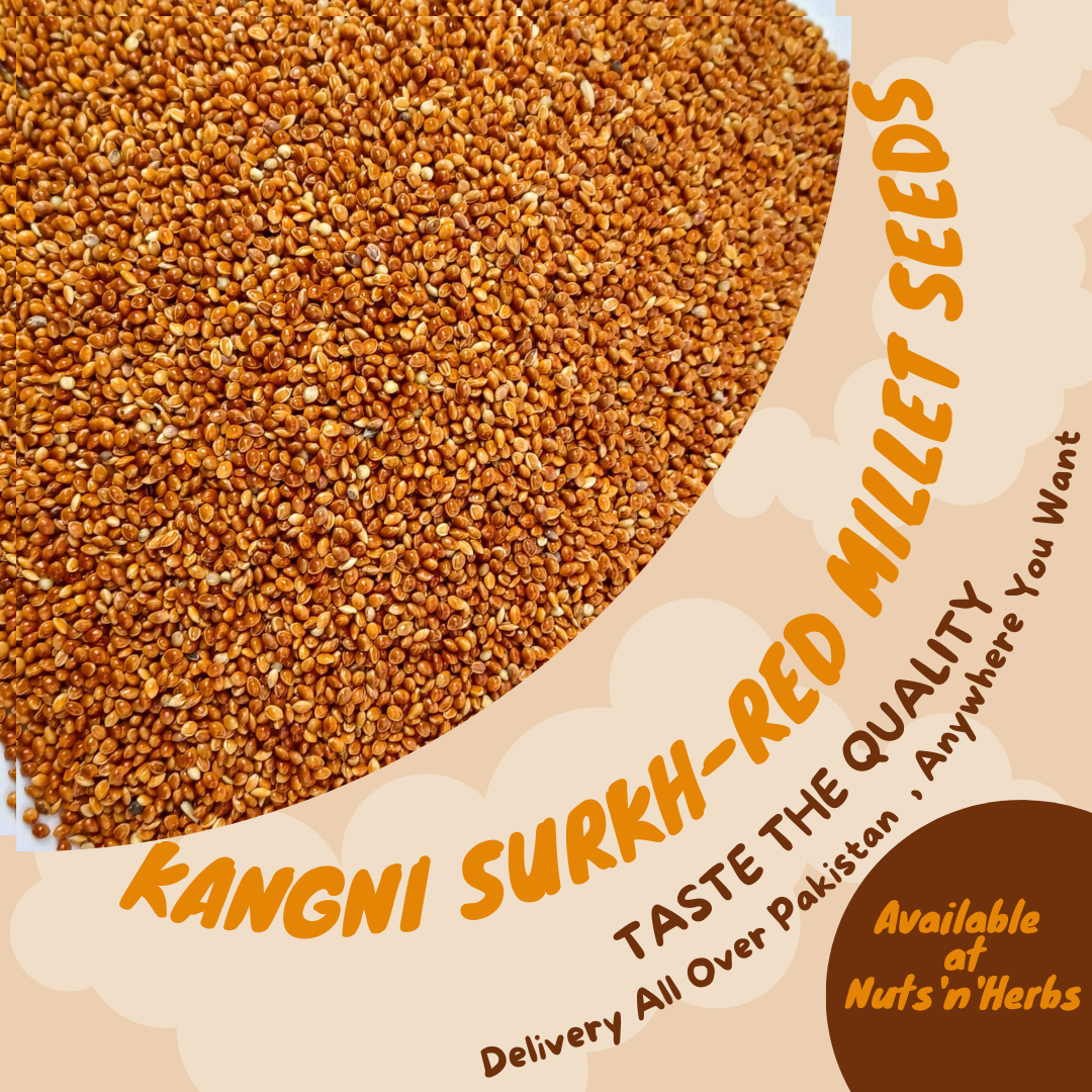 Kangni Surkh-Red Millet Seeds