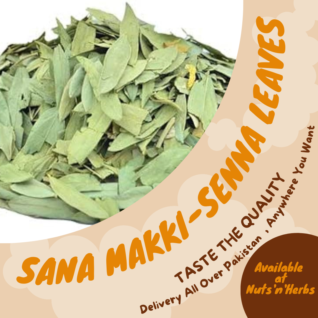 Sana Makki-Senna Leaves