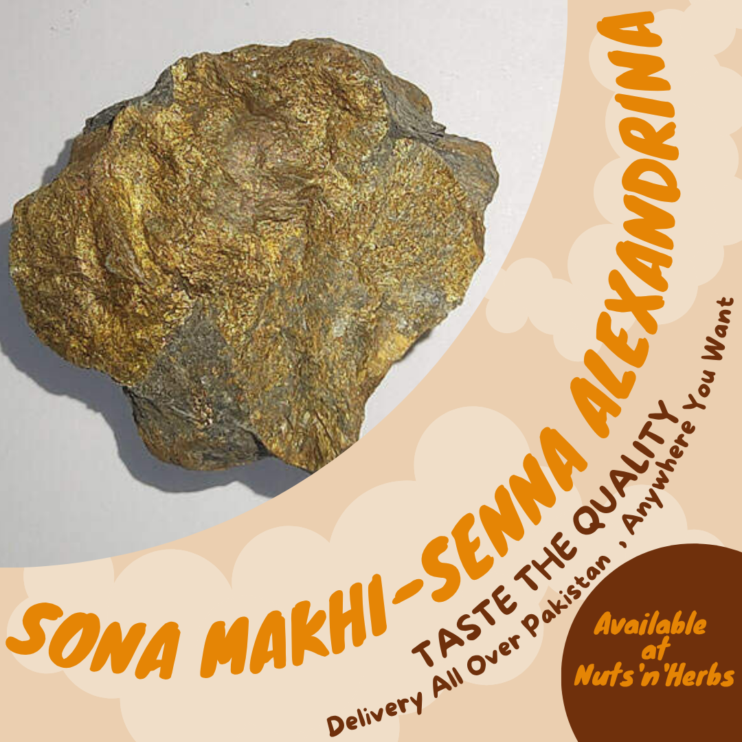 Sona Makhi–Sawarn Makshik Khaniz–SENNA ALEXANDRINA