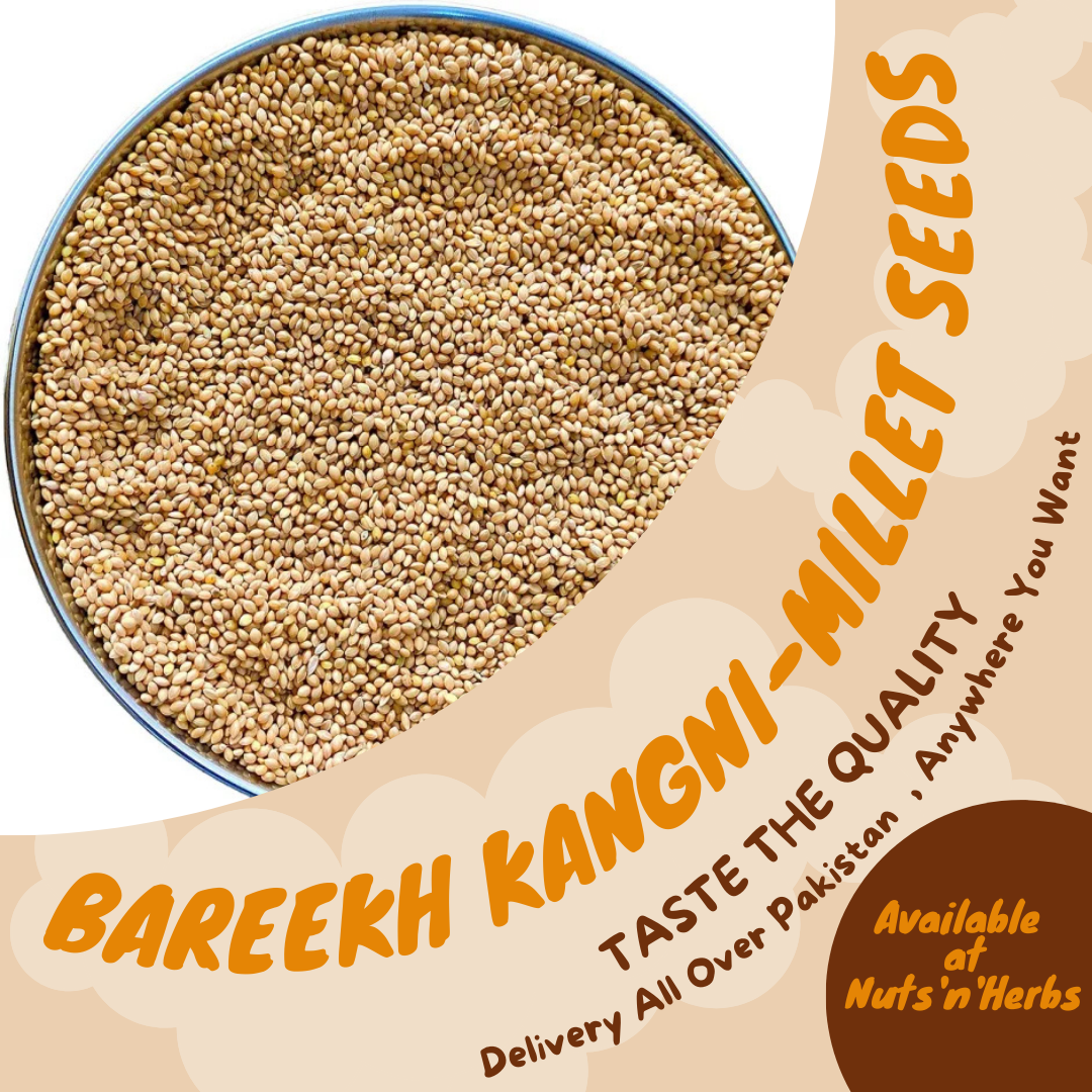 Bareekh Kangni-Millet Seeds