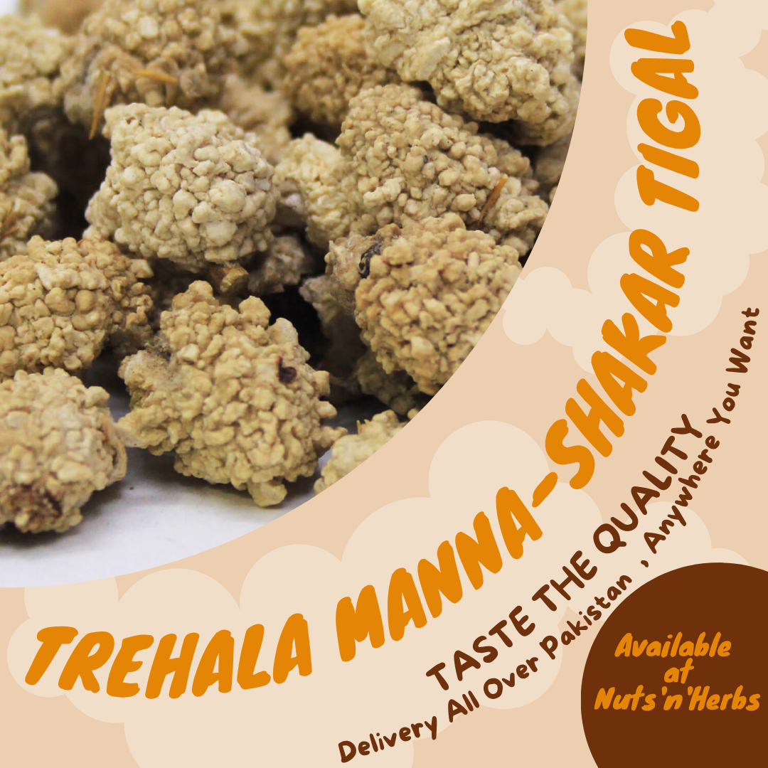 Trehala Manna-Shakar Tigal-شکر تیغال