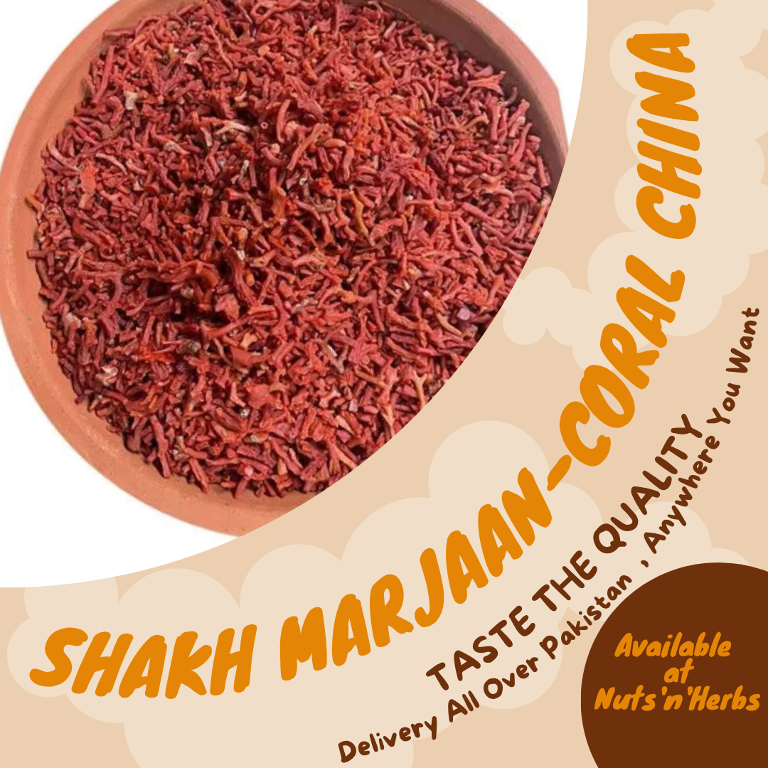 Shakh Marjaan-Coral China-شاخ مرجان