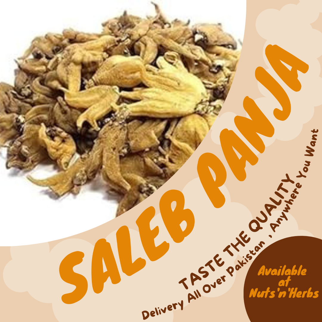 Saleb Panja-ثعلب پنجہ