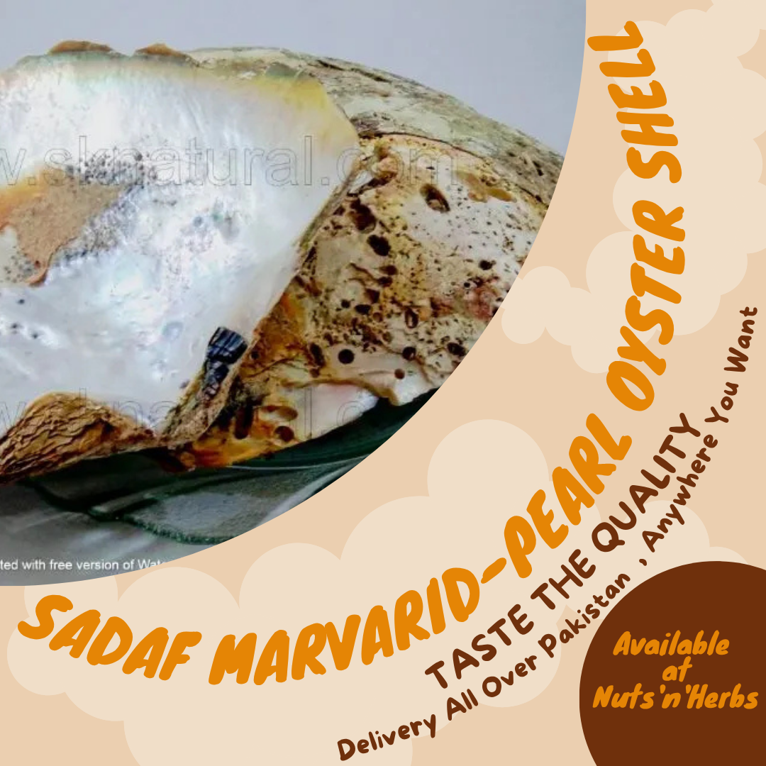 Sadaf Marvarid - Pearl Oyster Shell (صدف مروارید)
