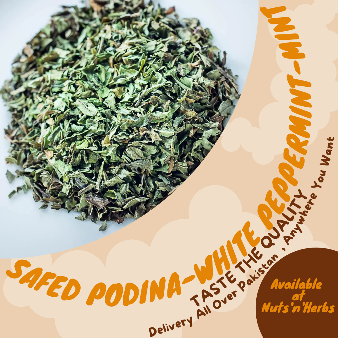 Safed Podina-White Peppermint-Mint