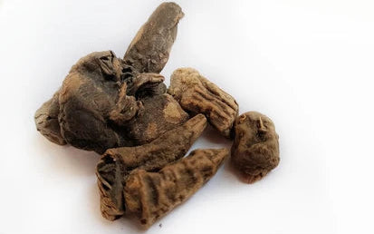 Metha Telia/Bachnag-Aconitum Ferox-میٹھا تیلیا