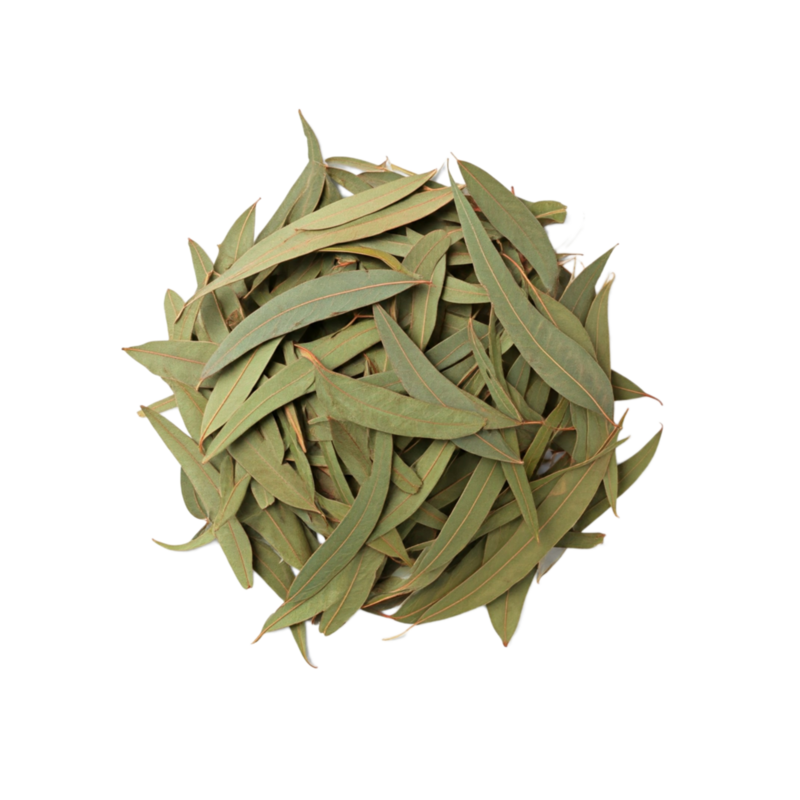 Safeeda Patay-Dried Eucalyptus Leaves