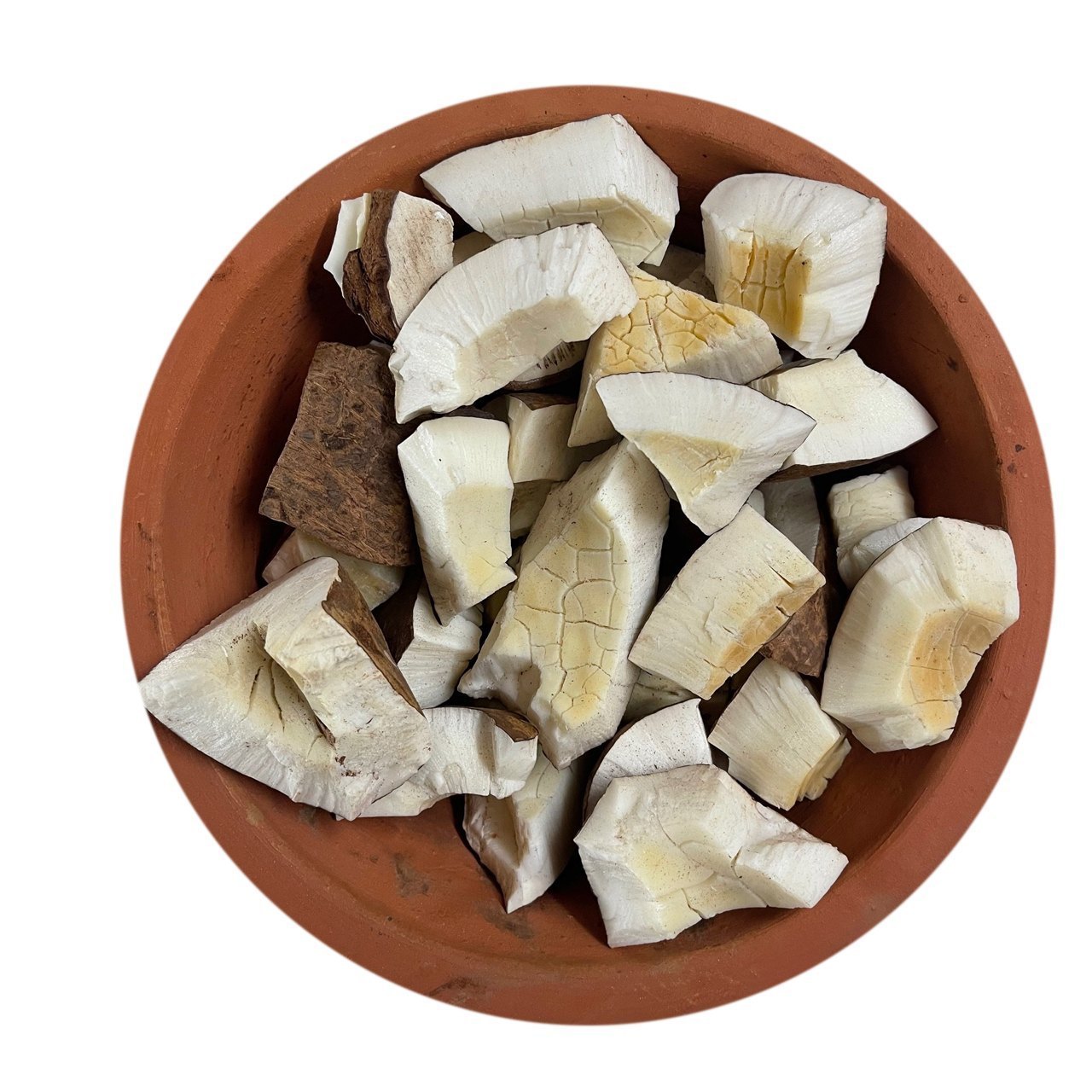 Naryal Daryai-Sea Coconut-ناریل دریائی