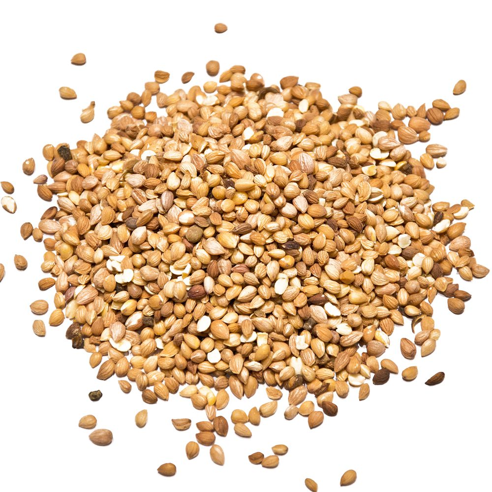 Mahlab seeds-Mahalab