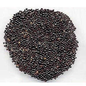 Plumed Cockscomb Seeds-Sirwali/Salara