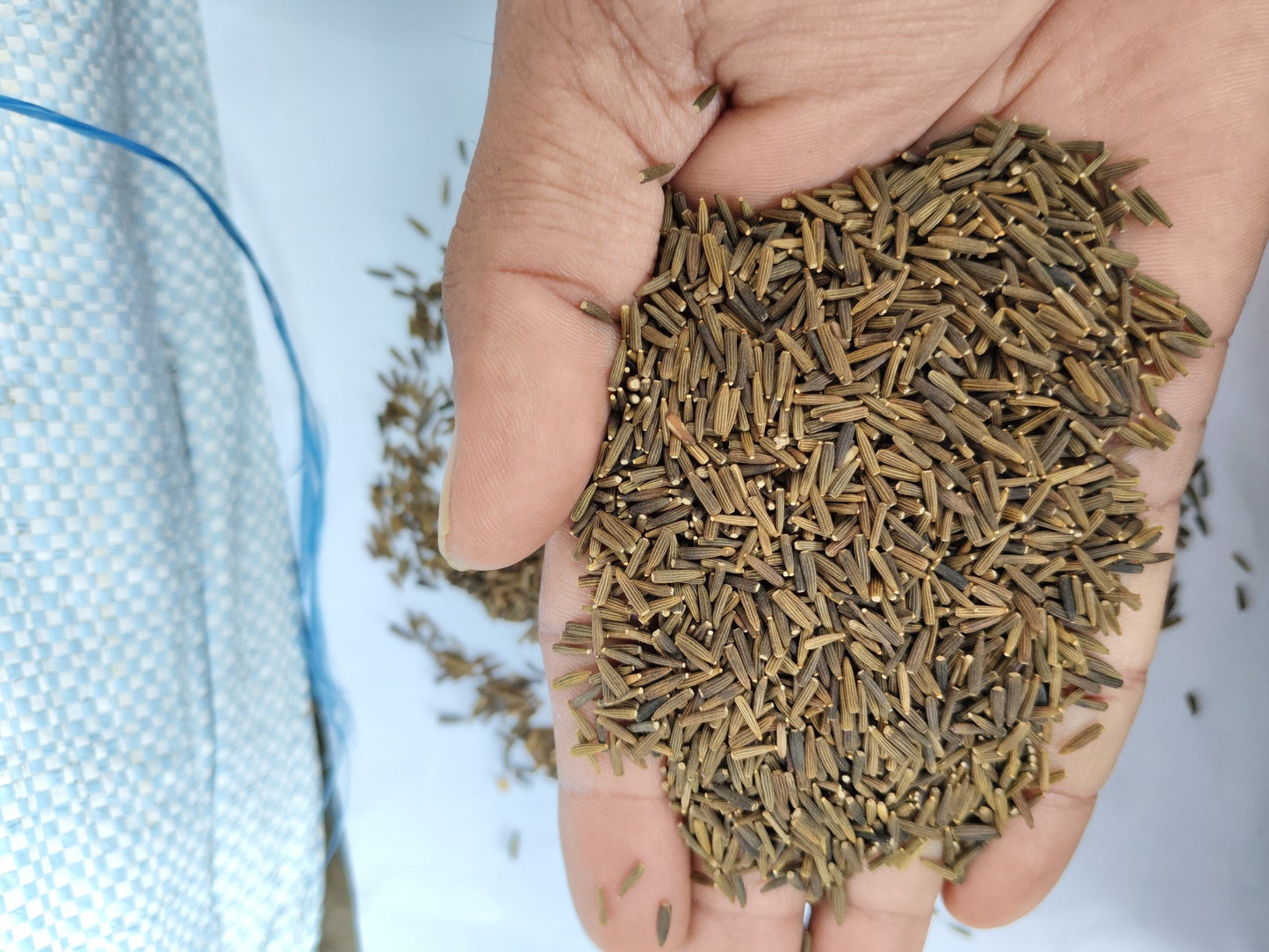 Kali Jeeri-Bitter(Black) Cumin Seeds