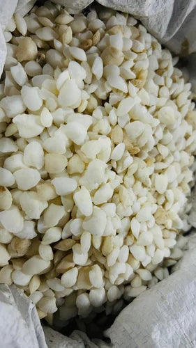 Sang Sarmai-Fish Stone-سنگ سرماہی