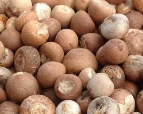 Supari Kathi-Betel nut(Areca nut)-سپاری کاٹھی