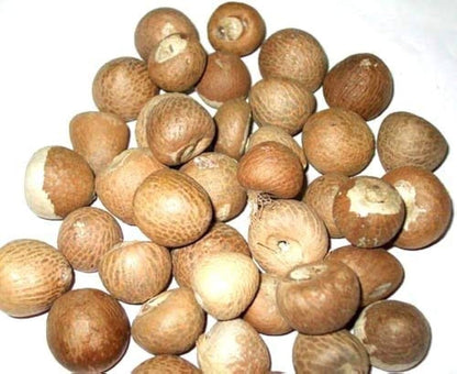 Supari Kathi-Betel nut(Areca nut)-سپاری کاٹھی