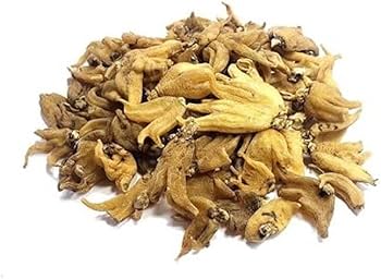 Saleb Panja-ثعلب پنجہ