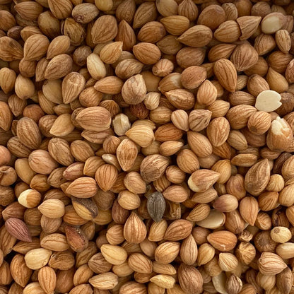 Mahlab seeds-Mahalab