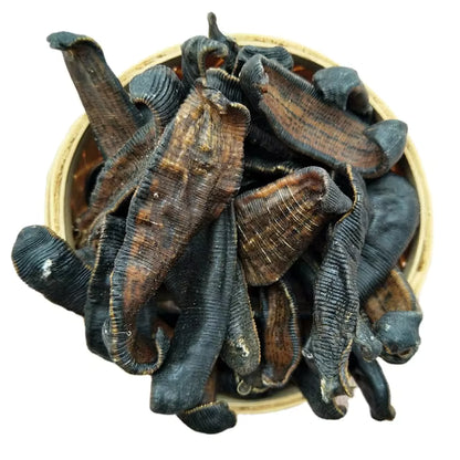 Jonk-Dried Leeches-جونک