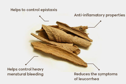 Lodh Tree Bark (Lodh Pathani)-لودھ پٹھانی