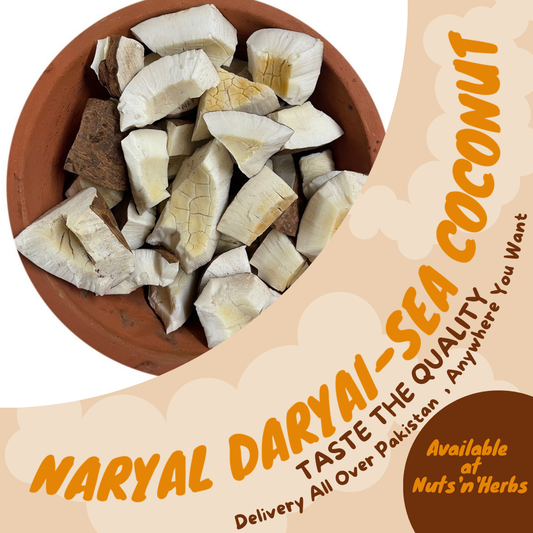 Naryal Daryai-Sea Coconut-ناریل دریائی