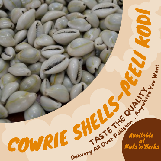 Cowrie Shells-Peeli Kodi