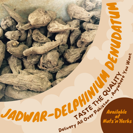 Jadwar-Delphinium Denudatum-جدوار