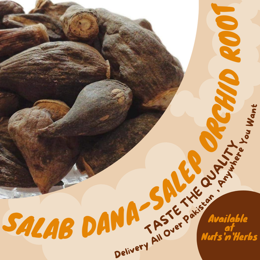 Salab Dana-Salep Orchid Root-ثعلب دانہ