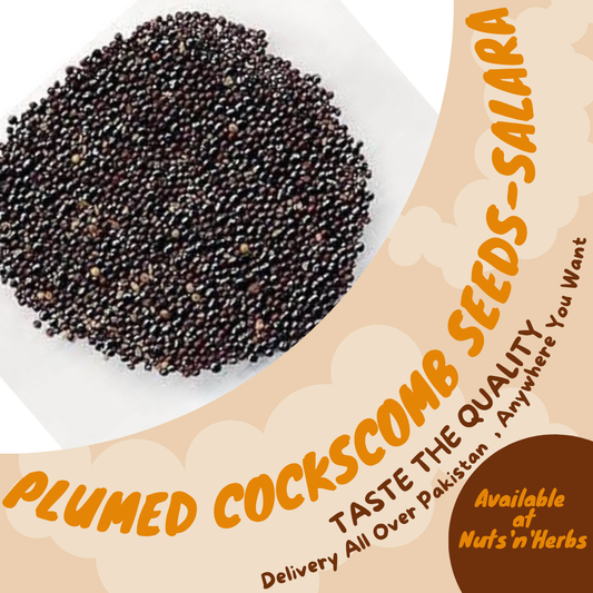 Plumed Cockscomb Seeds-Sirwali/Salara
