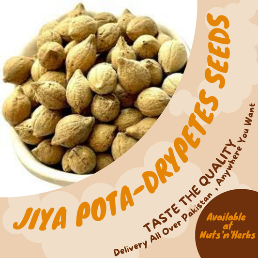 Jiya Pota-Drypetes Seeds- جیا پوتا