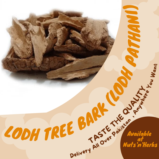 Lodh Tree Bark (Lodh Pathani)-لودھ پٹھانی
