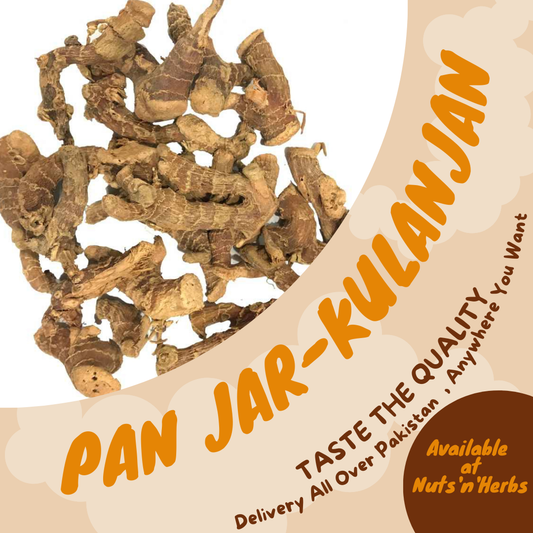 Pan jar-Kulanjan-Greater Galangal-پان کی جڑ