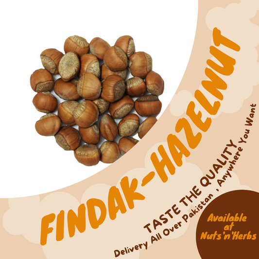 Findak-Hazelnut-Corylus Avellana Linn