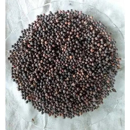 Bao Barrang (باؤ بڑنگ)-False Black Pepper