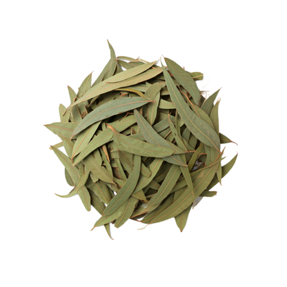 Safeeda Patay-Dried Eucalyptus Leaves