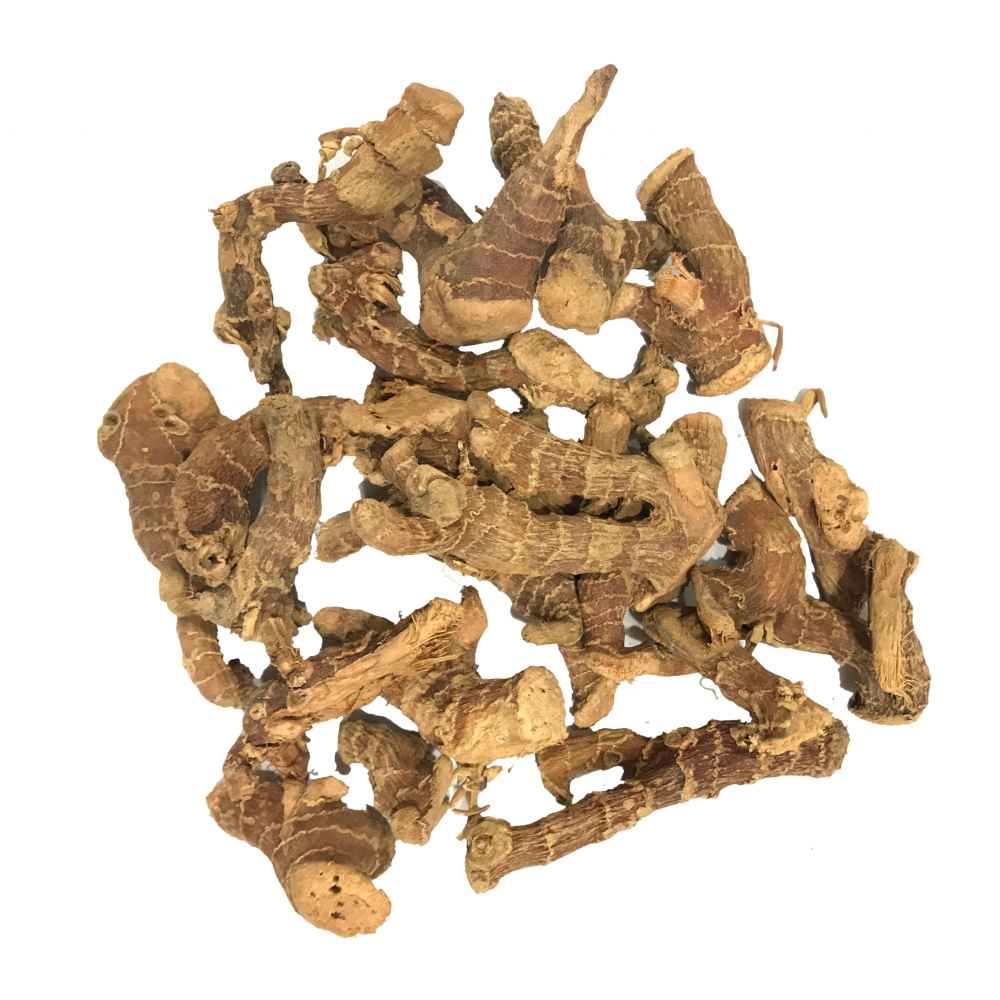 Pan jar-Kulanjan-Greater Galangal-پان کی جڑ