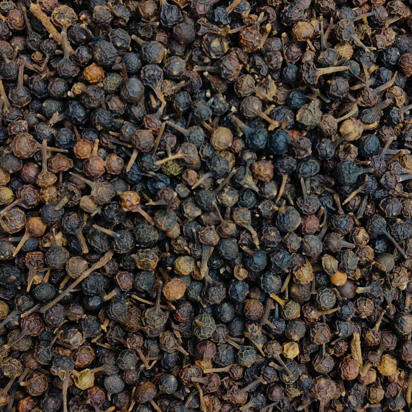Kabab Chinni-Cubeb Pepper-کباب چینی/سرد چینی